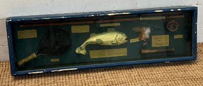 A Rainbow Trout fly fishing shadow box 80cm x 24cm