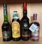 Four bottles of spirits to include Calvados, Kahlua, Marsala and Sloe Gin