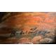An oil on board of Algeria Bedouins signed R Wilson lower right 30cm x 25cm - Image 4 of 4