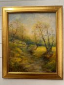 An oil on board of a autumnal forest scene by Anita Skinner signed lower right 52cm x 63cm