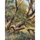 An oil on canvas of a farming scene titled "Welsh Harvest by Don Vaughan - Image 2 of 5