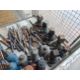 14 x 3 Ton - 10 Ton Vehicle Jacks + Handles, Wheel Spanners etc - Image 2 of 5