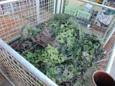 1 x Stillage New Unissued British Army Woodland Camo Net