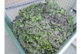 1 x Stillage New Unissued British Army Woodland Camo Net