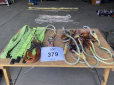 Tensor Heightec Energy Absorbing Lanyard (4x) and Quantity of Straps
