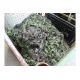 1 x Stillage British Army Grade A Woodland Camo Net - Image 2 of 2