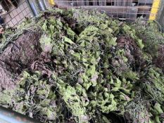 1 x Stillage British Army Woodland Camo Net