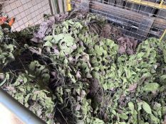 1 x Stillage British Army Woodland Camo Net