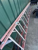 Werner 12' Ladder