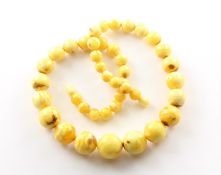 Bernsteinkette, Butterscotch, L 48