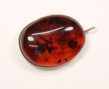 großer Bernsteinanhänger/-brosche,
