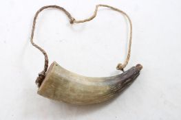 Old Horn Full of Lead Shot