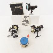 Daiwa Sealine 47H & Other Fishing Reels