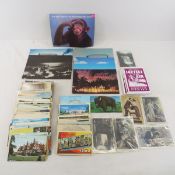 Vintage Postcards, Linen, Graphic, Real Photo Mix
