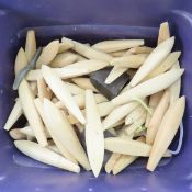 Wood Fishing Lure Blanks & more