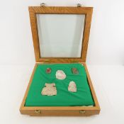 5 Native Stone Tool Points in Display Case