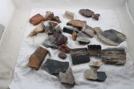 Agates, Petrified Wood & More Rocks