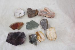 Agates Petrified Wood Slabs 4 Pounds