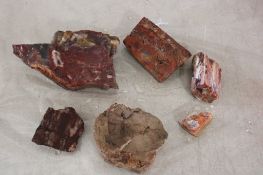 6 Pieces of Petrified Wood 6+ Pounds