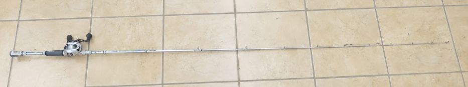 Extreme RT4 graphite rod with casting real