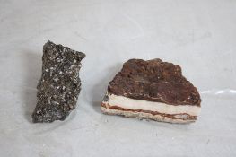 Calcite & Turtilla Agate (Fossils) 4.5+ Lbs.