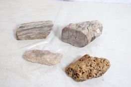 Fossilized Coral, Quartz & Other Rocks 10+ Lbs.