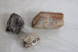3 Pieces of Petrified Wood 12 Lbs.