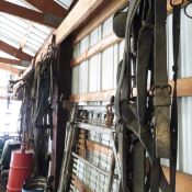Large assortment of vintage horse tac