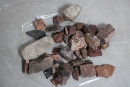 14lb Petrified Wood, Sedimentary Rock & More