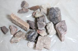 17lb Petrified Wood, Minerals, Sedimentary