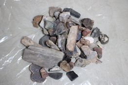 11lb Geodes, Obsidian, Petrified Wood & more