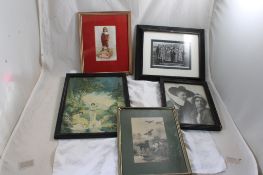 5 Framed Pictures