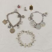 3 Charm Bracelets & Extra Charms