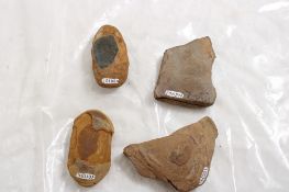 4 Plant Fossil Nodules
