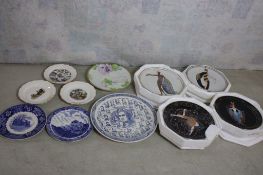 11 Collector & Souvenir Plates