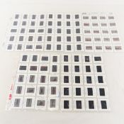 100 Adult Film Star 35mm Slides 2000 Matrix