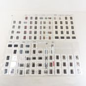 160 Adult Film Star 35mm Slides- Craig X Sotres