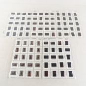 100 Adult Film Star 35mm Slides, Amber Michaels +