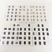 103 Adult Film Star 35mm Slides- Craig Sotres1996