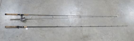 Ice Rod & Reel and Shimano Salt Water Rod