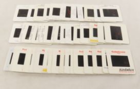 20 1994 David Mecey Playboy & Other 35mm Slides