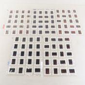 100 Adult Film Star 35mm Slides- Matrix 2001-2002