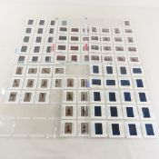 100 Adult Film Star 35mm Slides- Matrix 2000-2003