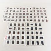 100 Adult Film Star 35mm Slides- 2003 Matrix