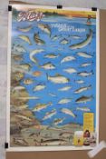 1987 Blatz Beer Poster Fishes of the Great Lakes