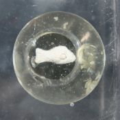 Fish Sulfide Marble Original Surface 1 1/2