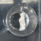 Cat Sulfide Marble With Original Surface 1 7/8