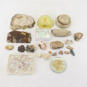 Rocks and minerals, paperweights and more