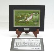 Star Wars Clone Wars Mace Windu Key Cel Art