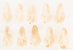 Jiri Georg Dokoupil (1954 Krnov – lebt in Berlin)